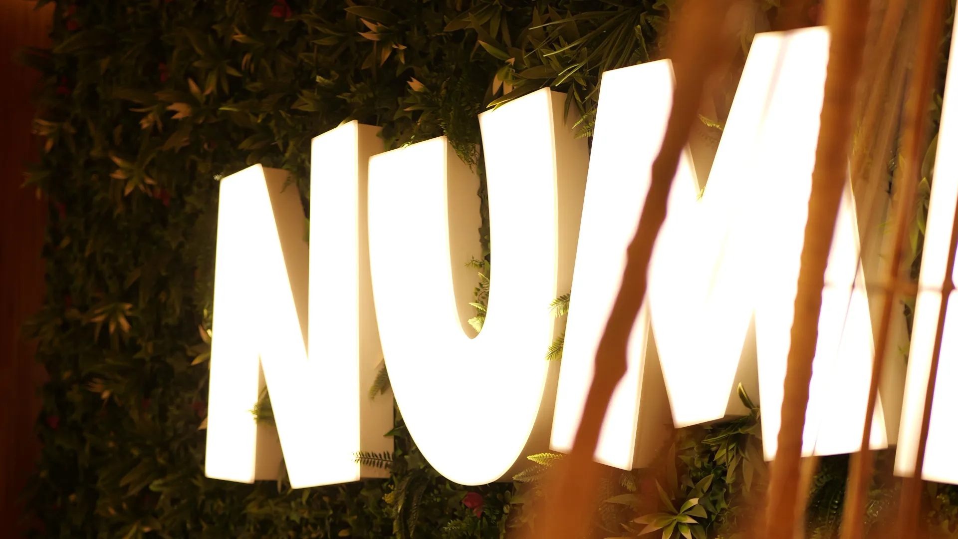 Univers Numa